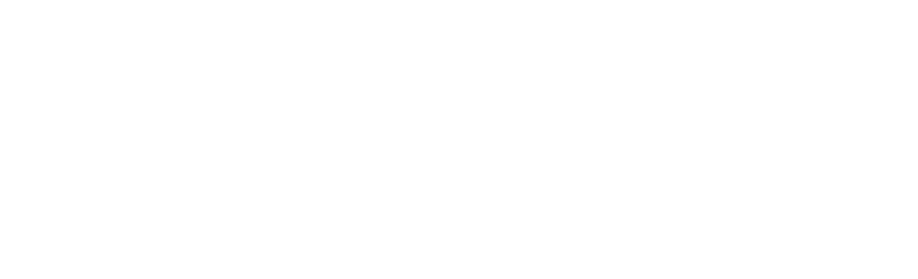 ds property maintenance logo upscaled white